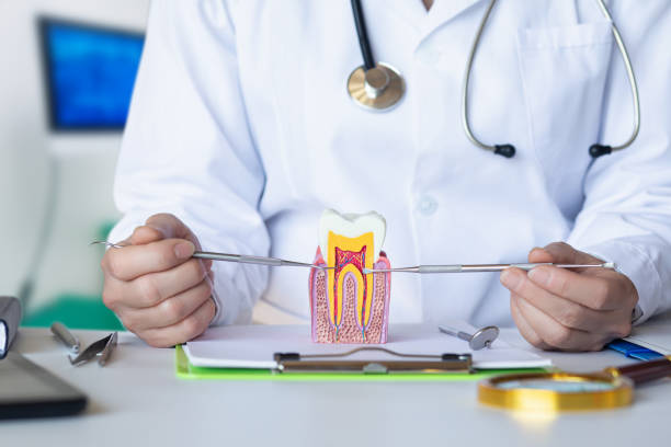 Best Emergency Care for Gum Disease in Greybull, WY